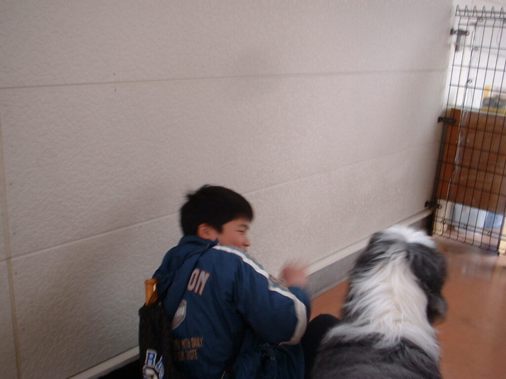 犬たちとふれあい中。