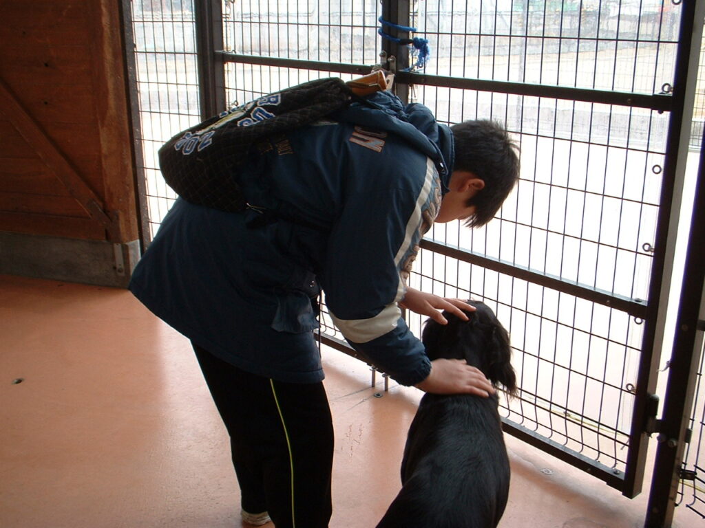 犬たちとふれあい中。