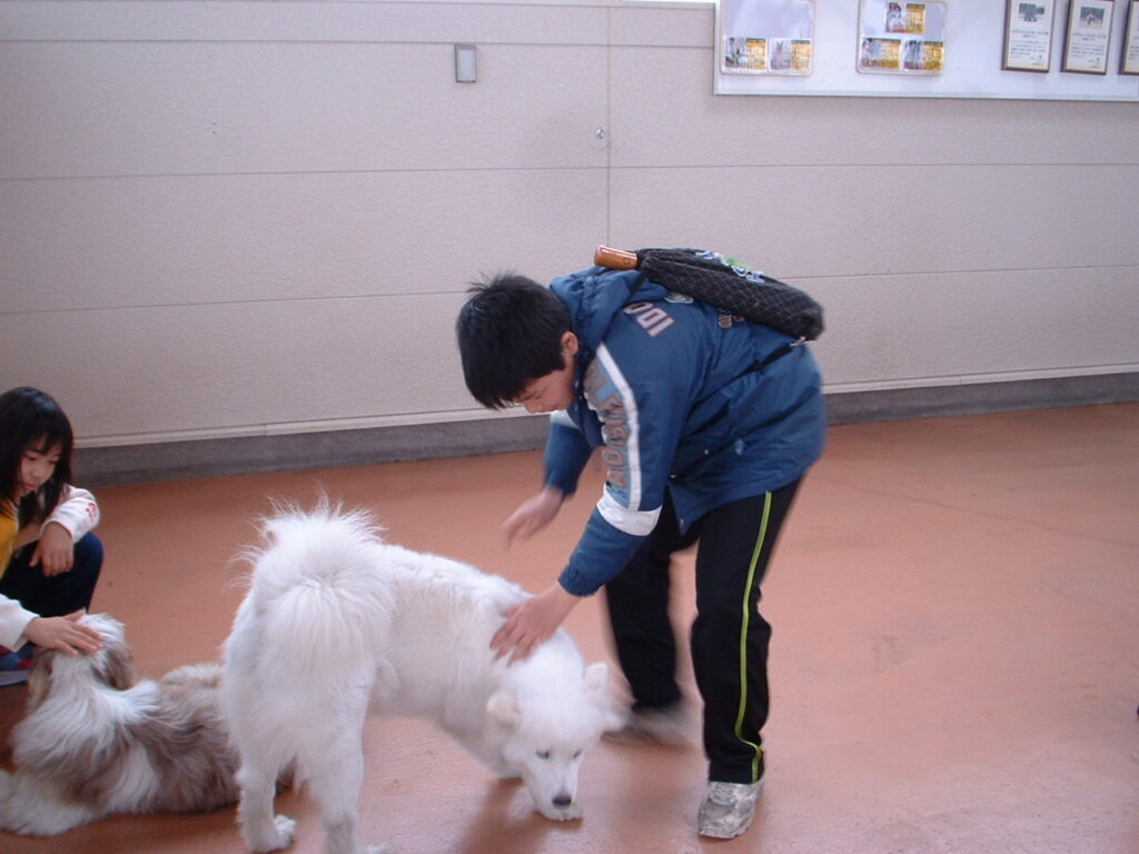 犬たちとふれあい中。