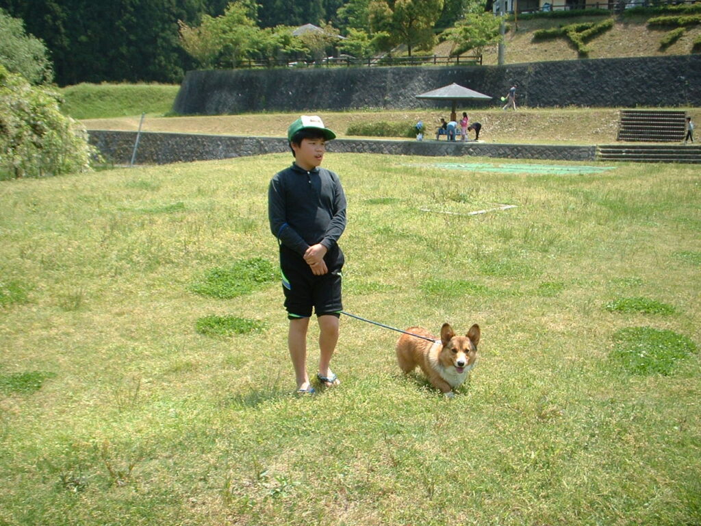 ゆめさき夢の里農業公園　 030505