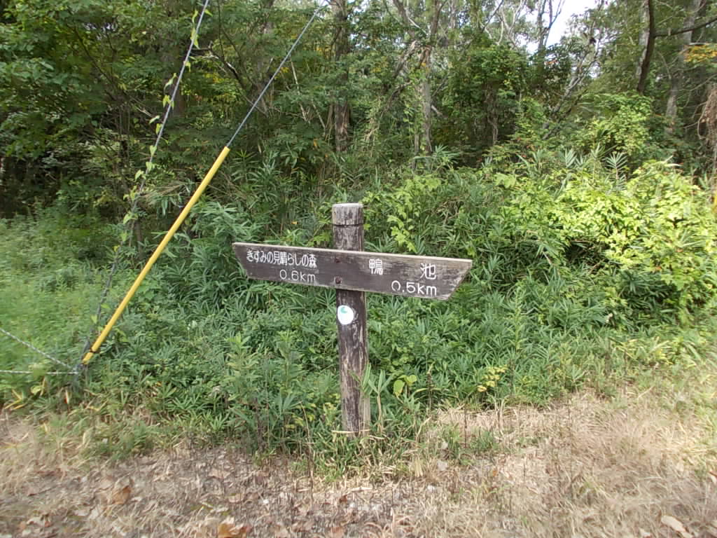 9:25 鴨池からここまで500mです。