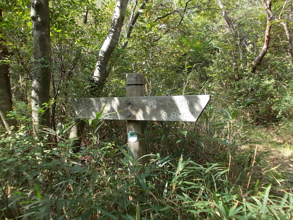 9:28 鴨池から800m地点です。