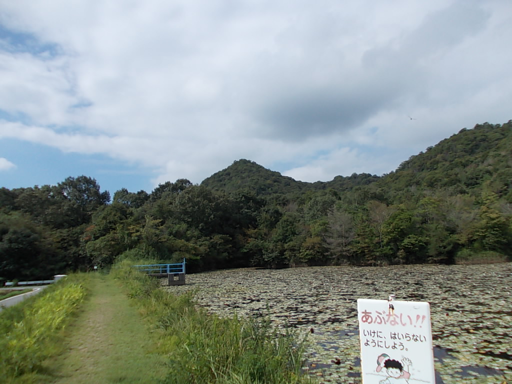 9:32 まっすぐ進むと、ようやく山への入り口になります。