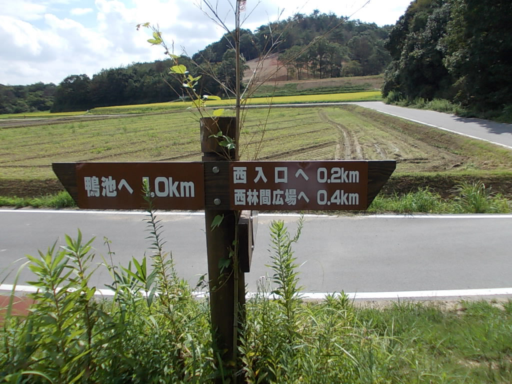 9:33 鴨池から1Km地点です。