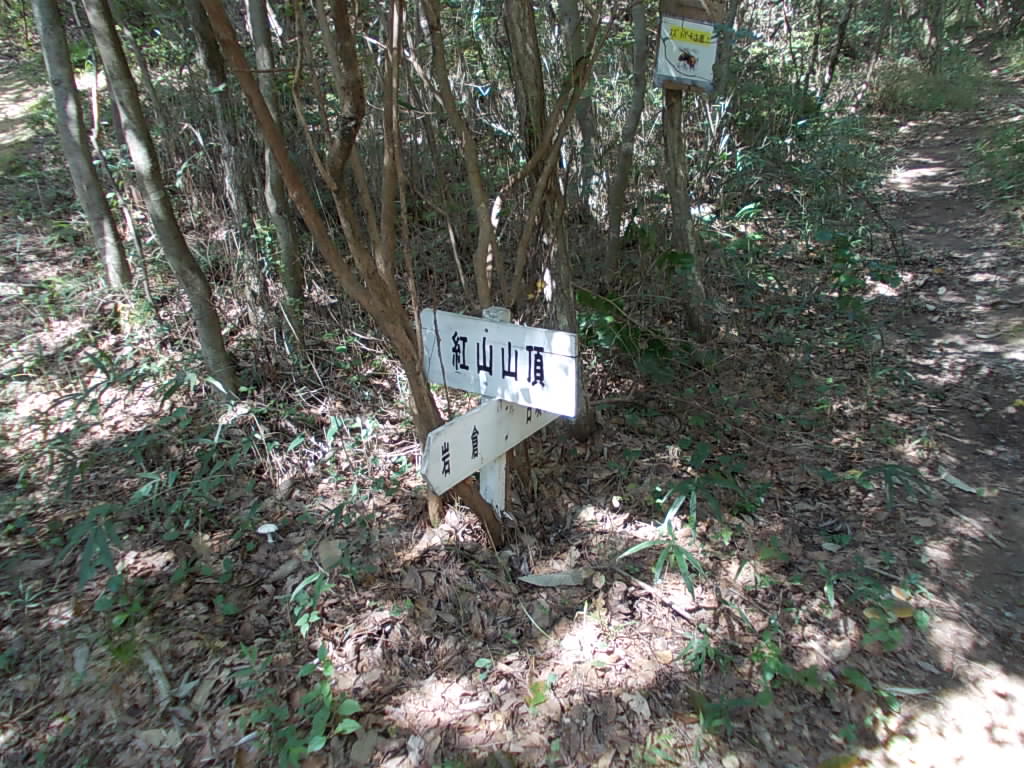 10:01 古墳へ分岐点です。古墳を見に行ってきました。