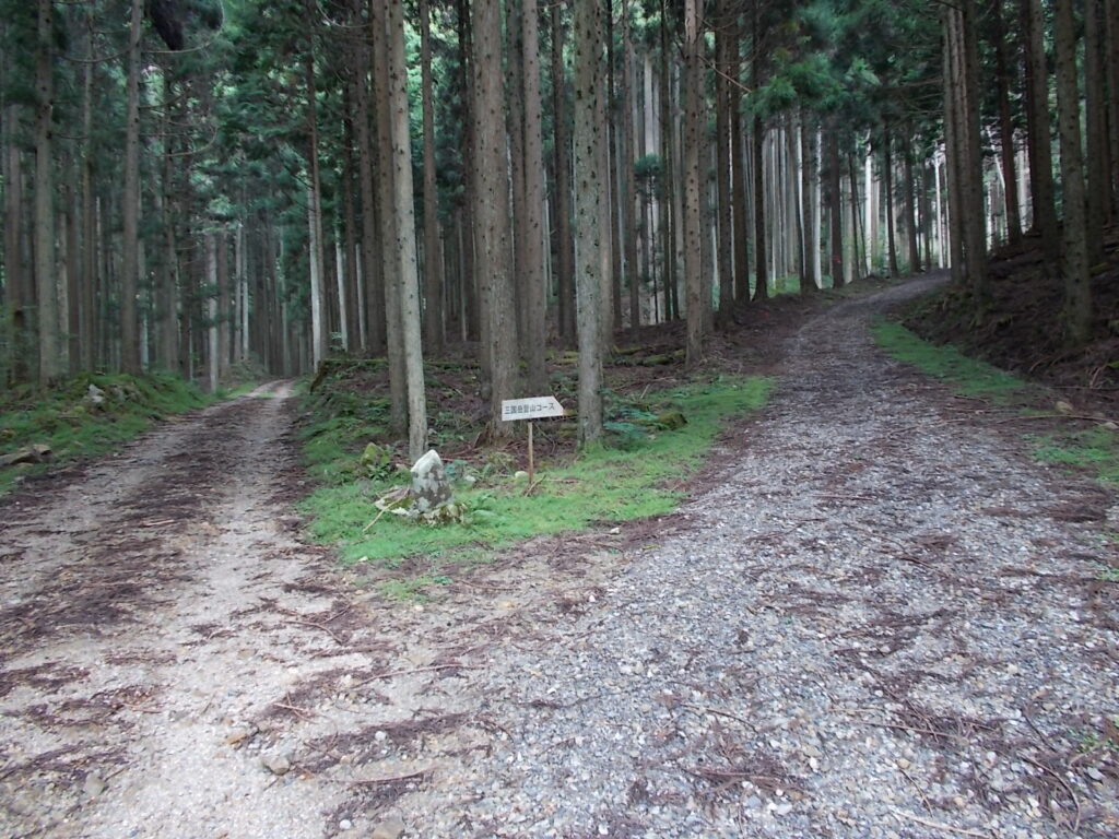 10：23　さらに進むと道が分岐します。右へ行きます。