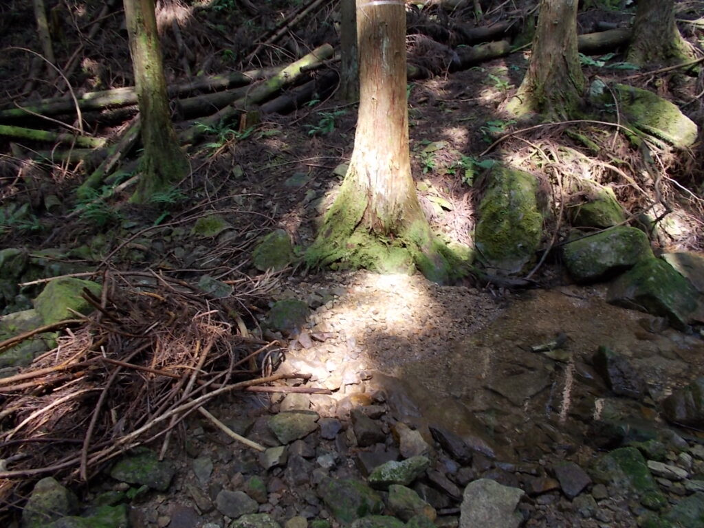 10：32　こんな感じの中を歩いていきます。かなり湿っぽいですが、風が吹くとけっこう涼しいです。