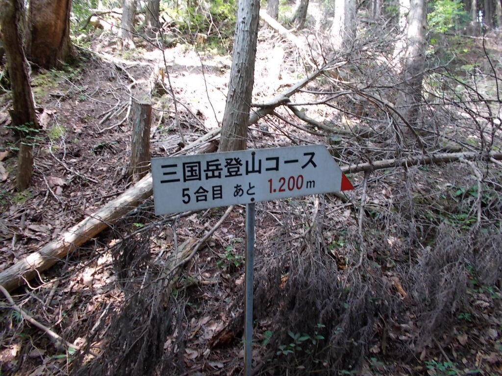 10：52　5合目。あと1,200ｍ。だいたい同じような感じの中をひたすら上っていきます。杉や檜林なので、周りの景色はさっぱりです。