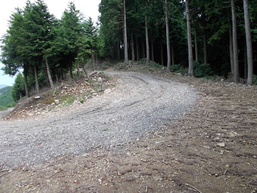 11：13　林道で登山道が途切れてしまっています。