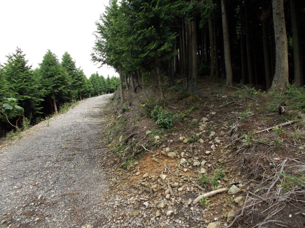 11：13　少し歩くと右側に登山道が出てきます。