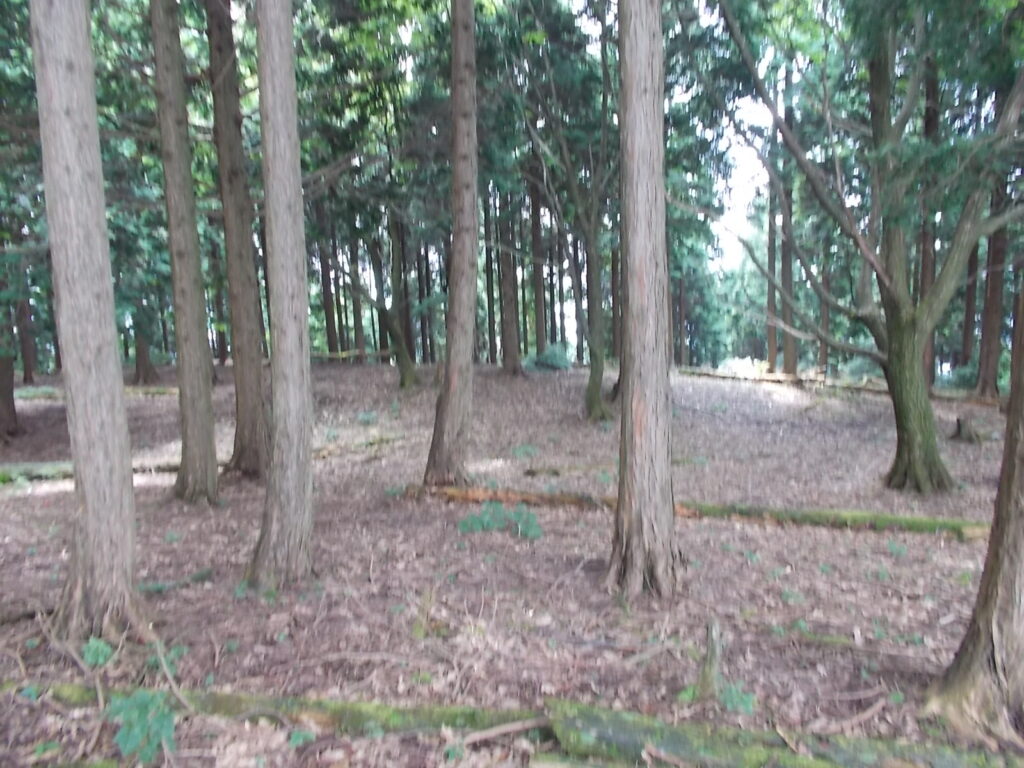 11：16　一番下の平地あたりが池だったんではないでしょうか。