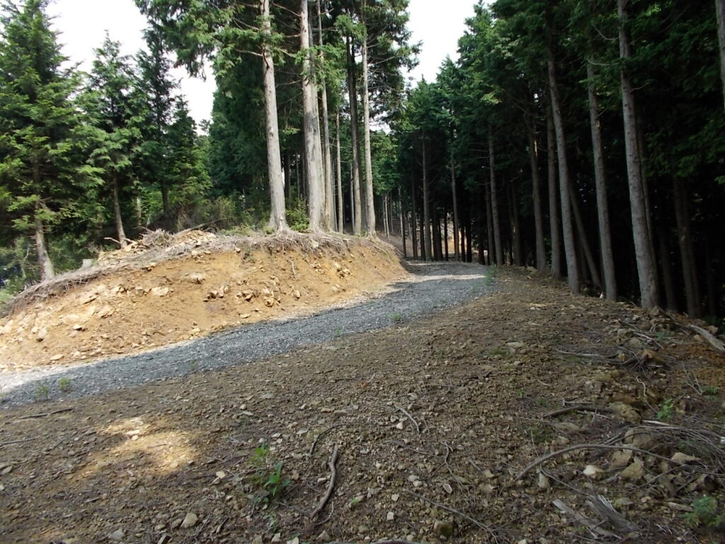 11：19　またまた林道にでました。