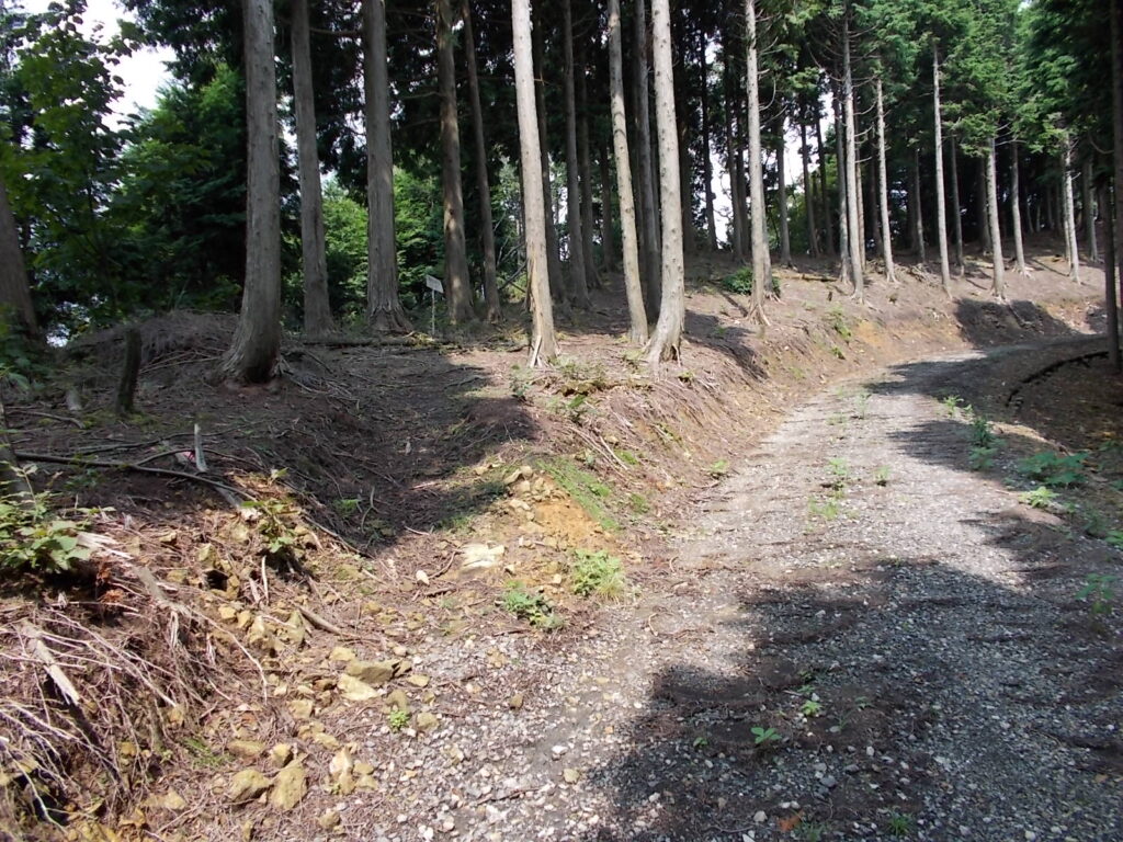 11：19　また少し行くと登山道に戻ります。