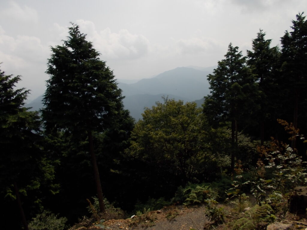 11：22　大井戸山です。ここで昼食にしました。