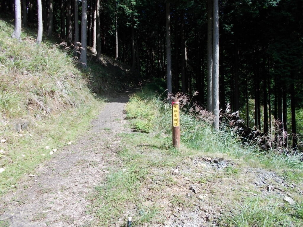 10：21　ようやく登山口へ。ここから木のチップが敷かれた登山道が続きます。