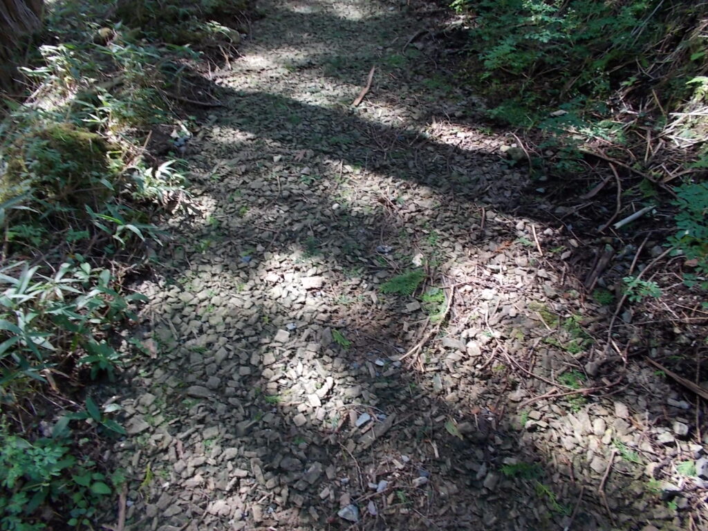 10：22　木のチップが敷かれた登山道