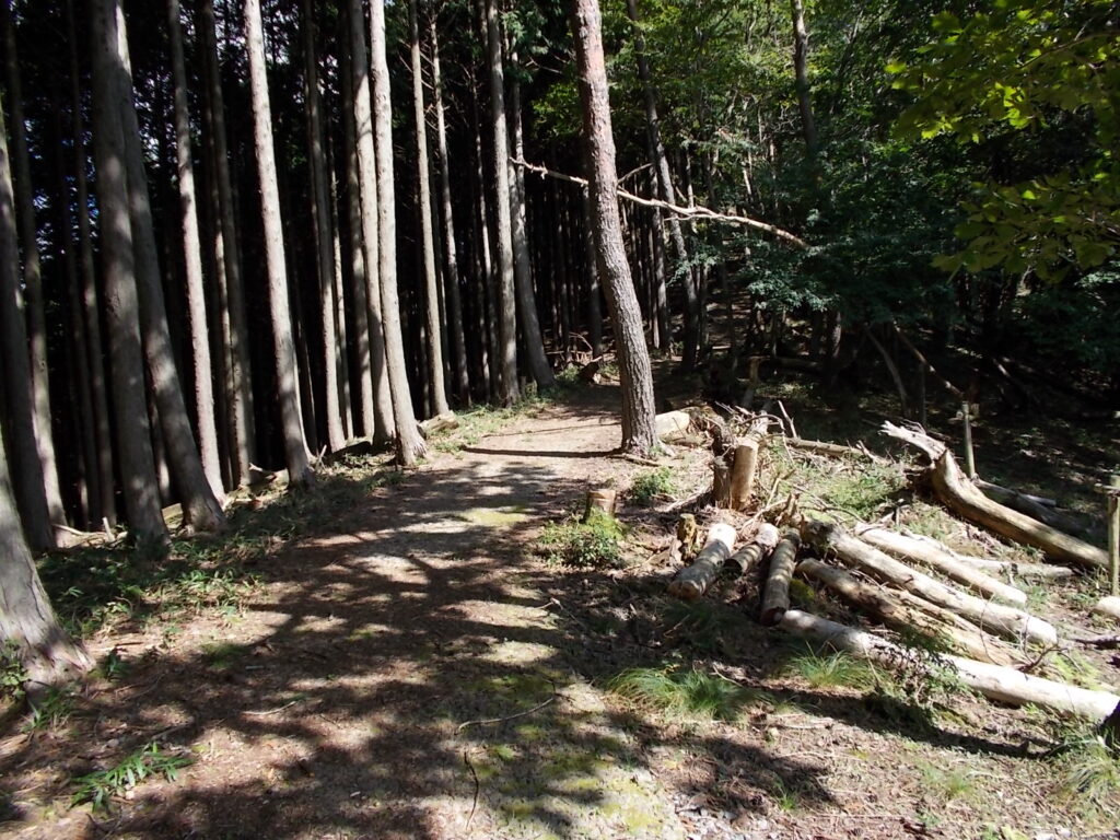 10：25　歩きやすい尾根ルート