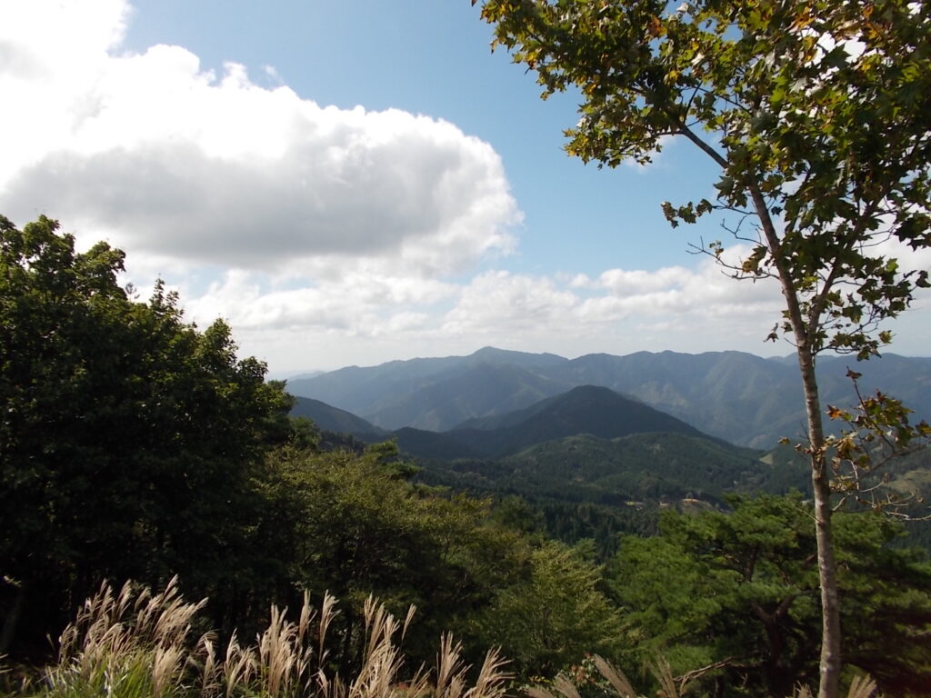 10：33　ココからの眺め