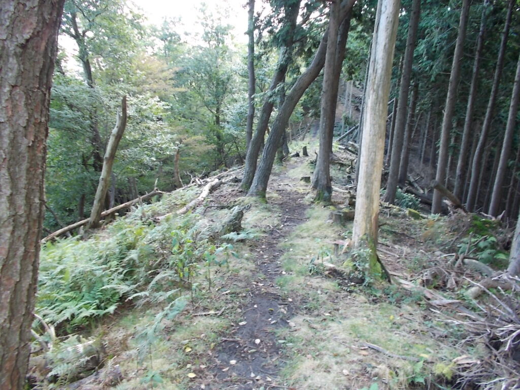 10：37　このあたりから木のチップ道は無くなってふつうの登山道に。