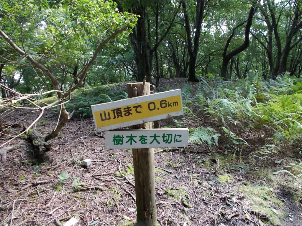 10：46　山頂まであと0.6Km。もう少しです。