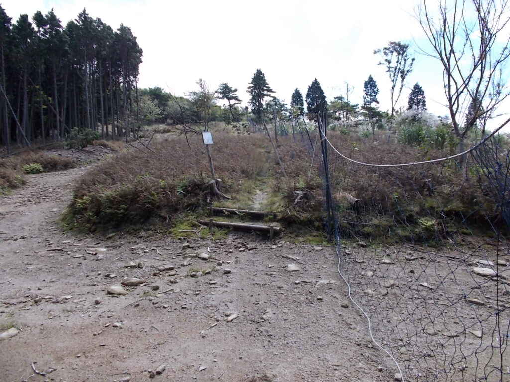 10：50　突然広いところへ。林道のようです。ここからネットに沿ってのぼります。