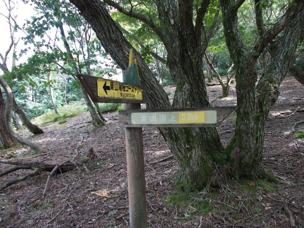 10：51　山頂まであと0.2Km。