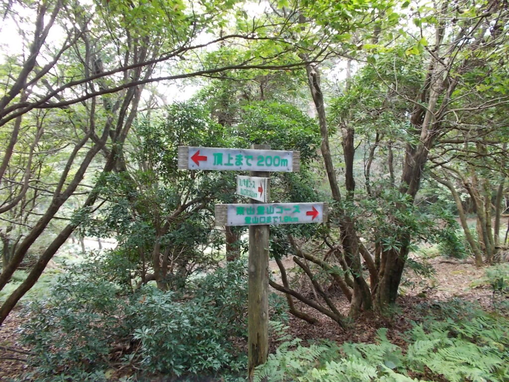 10：52　帰りの登山コースとの分岐です。
