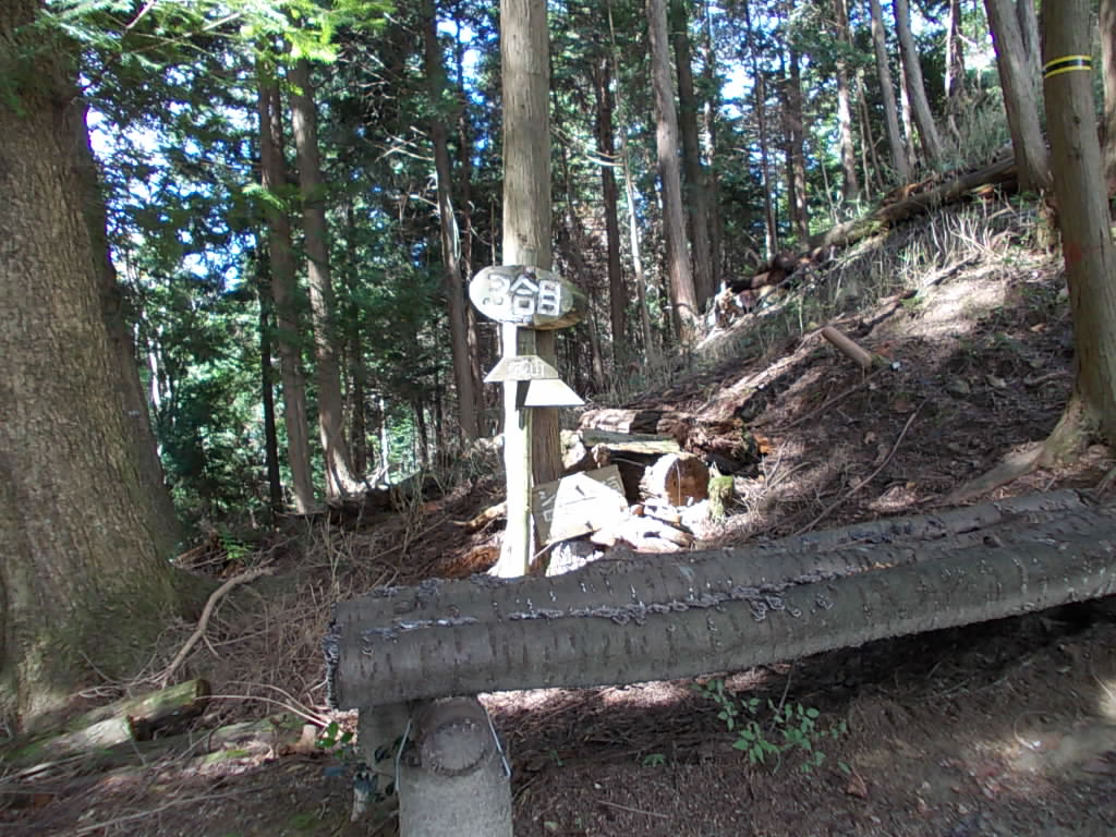 11:07 3合目です。途中は林の中を歩くだけで、周りは見えませんでしたが、ここでようやく展望がききます。