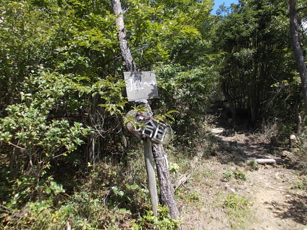 11:21 5合目です。