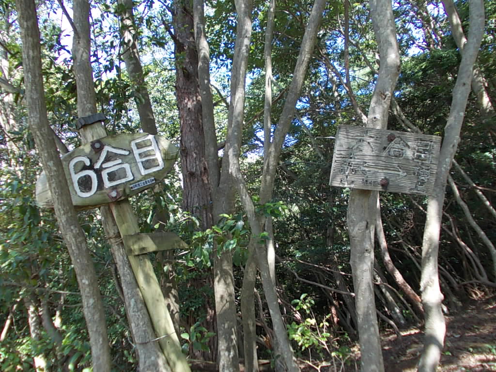 11:28 6合目です。ひたすら林の中を歩くだけです。