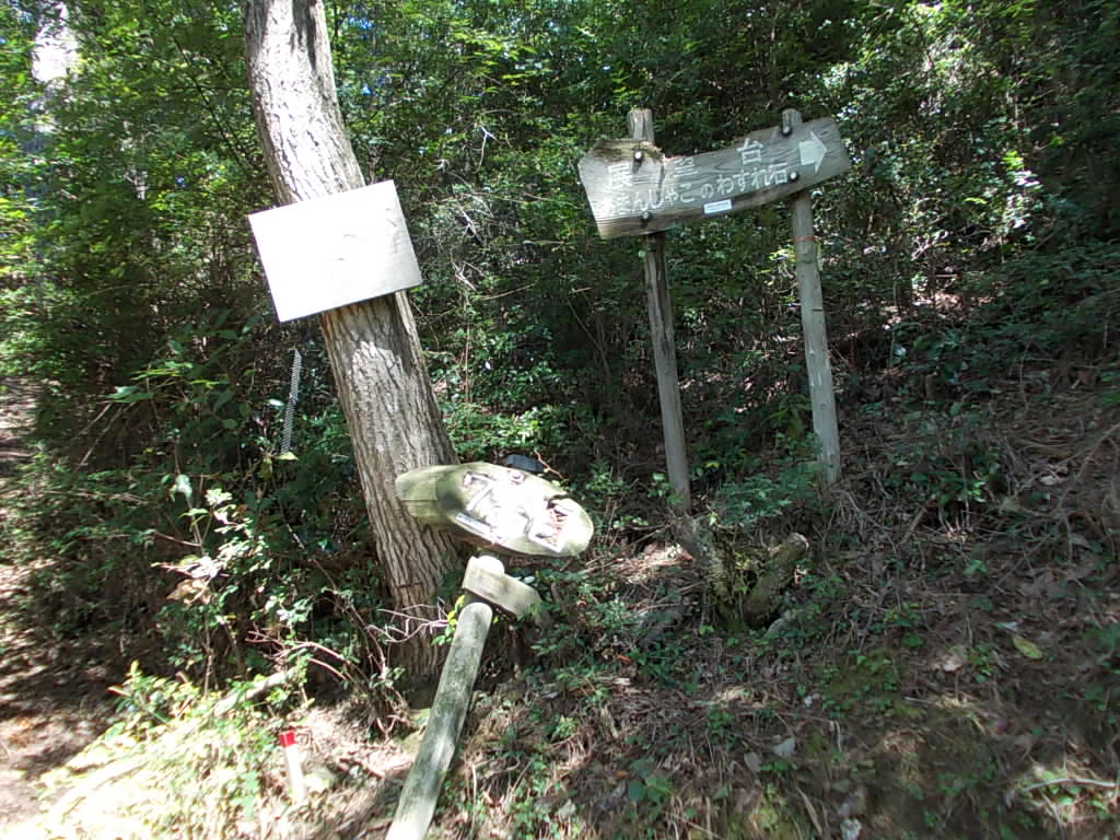 11:37 7合目、まもなく展望台です。