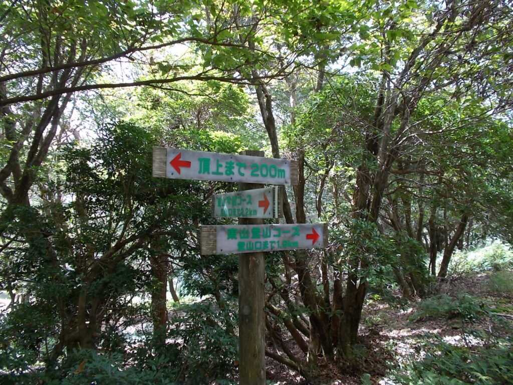 11：22　さっきの登山ルートの分岐まで戻ります。