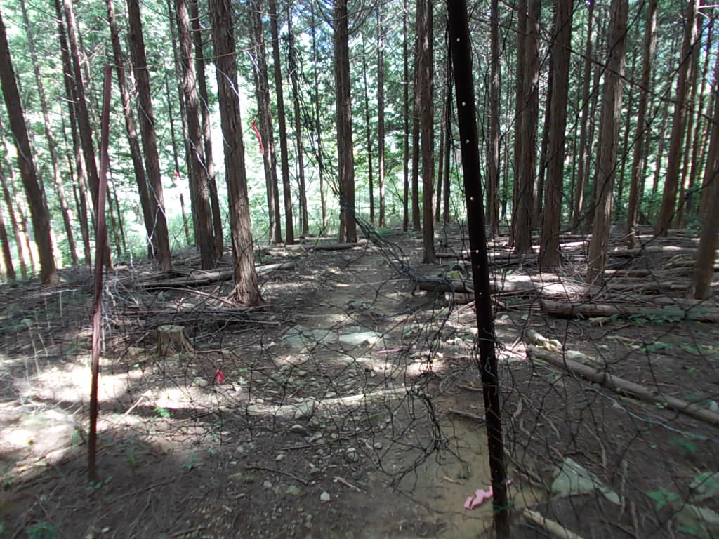 12:46 道中の様子です。