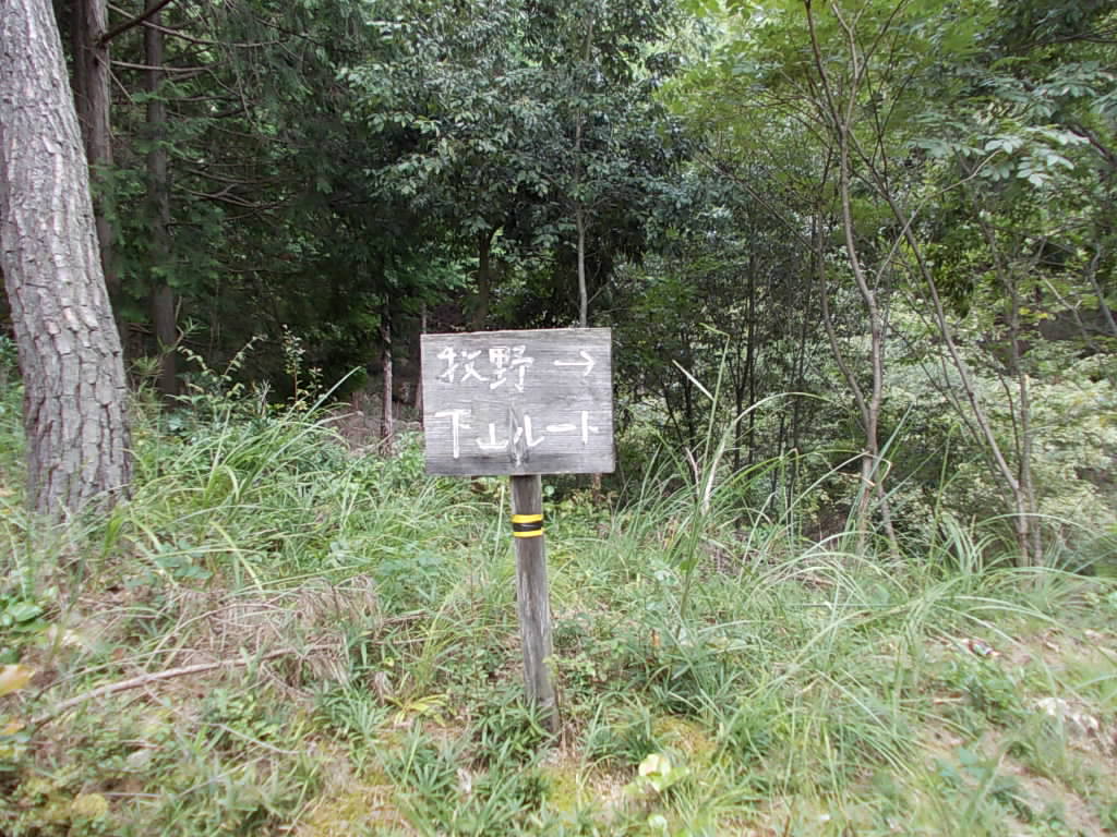 12:48 牧野側の登山口、林道の終点です。ここから延々林道を歩いて戻ります。約3Km