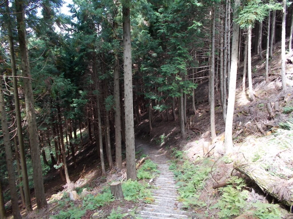 11：41　やたらと長い階段道。