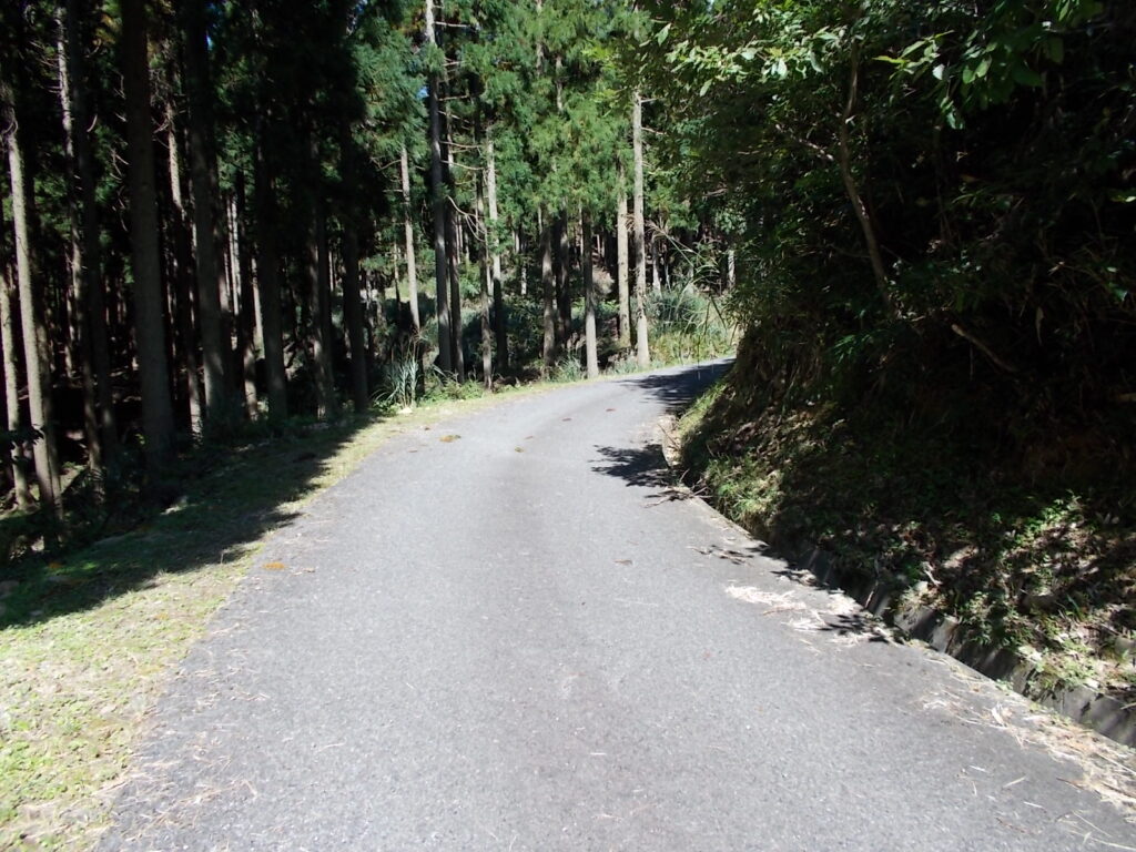 11：53　ここからまたまた舗装路を歩いて戻ります。