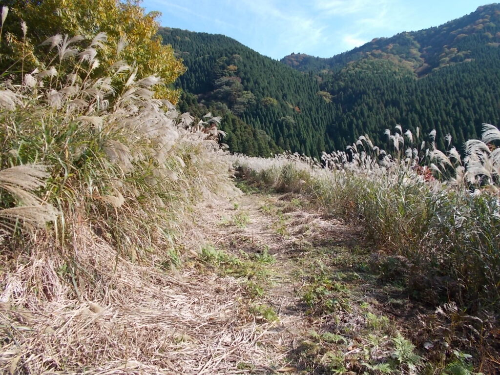 9:53 よく整備されています。