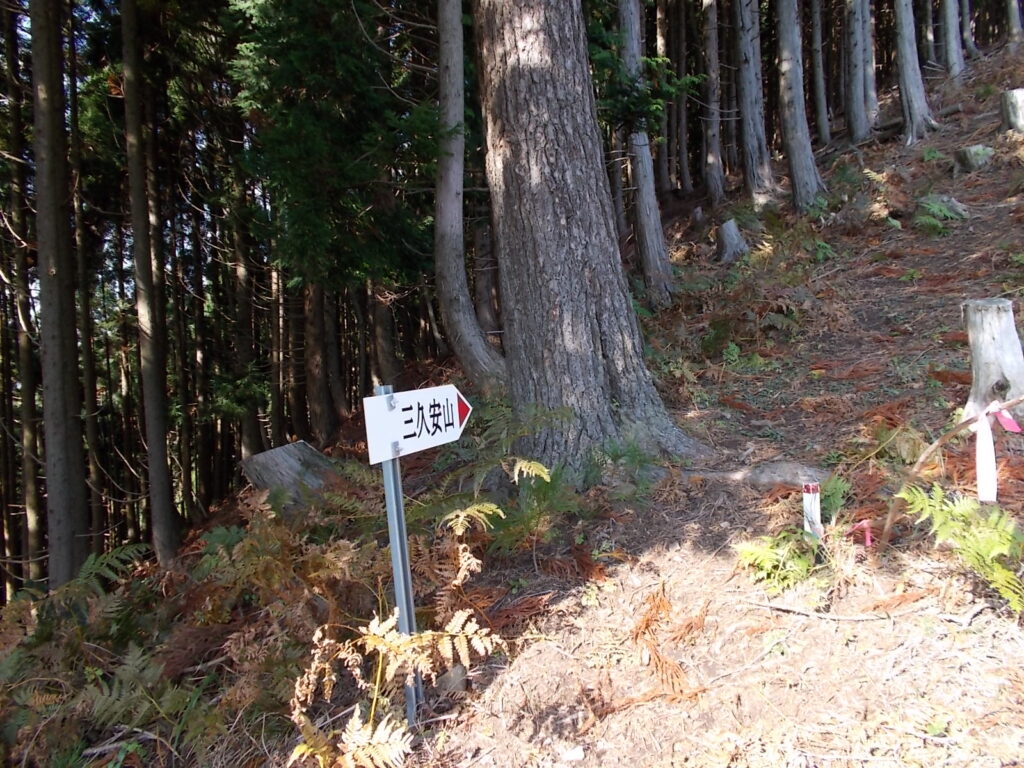 9:59 ここから急登が続きます。