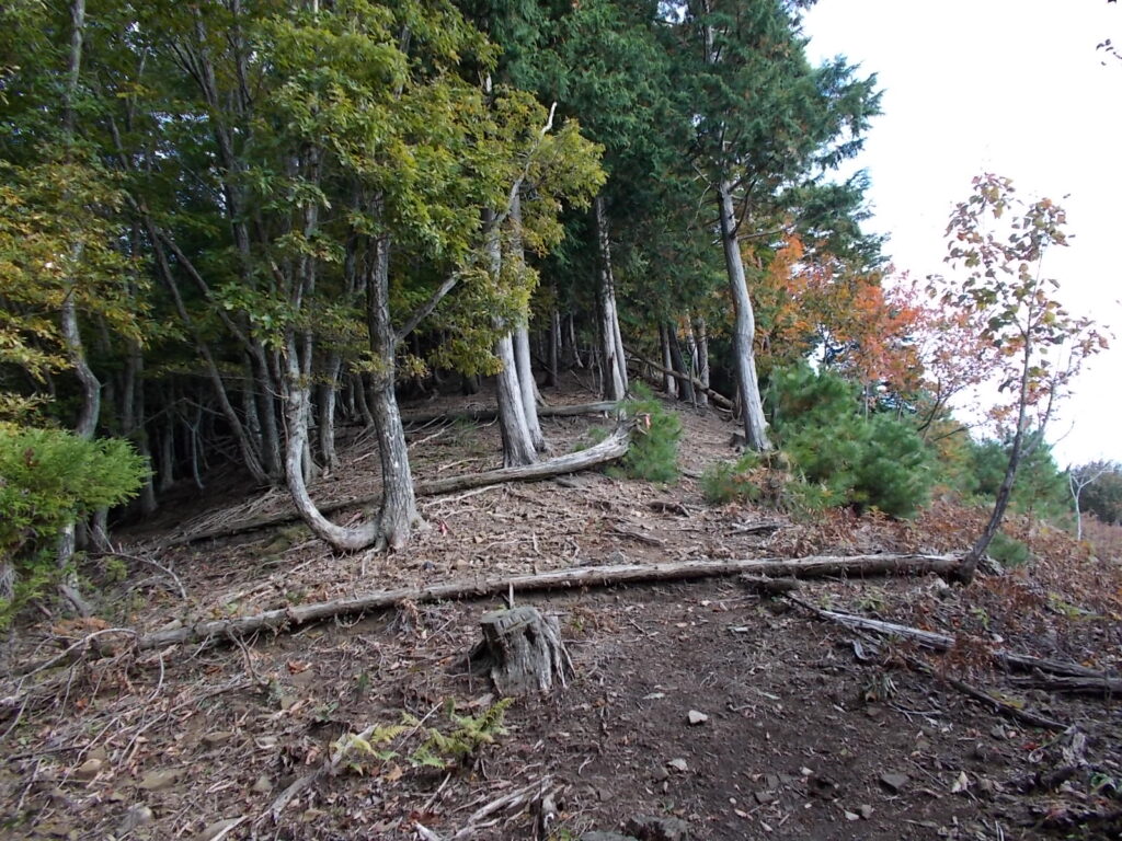 10:06 ここから尾根ルートになるようです。