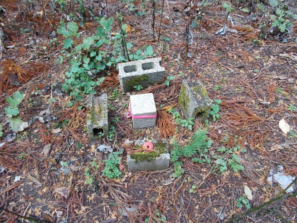 10:14 最初のピーク