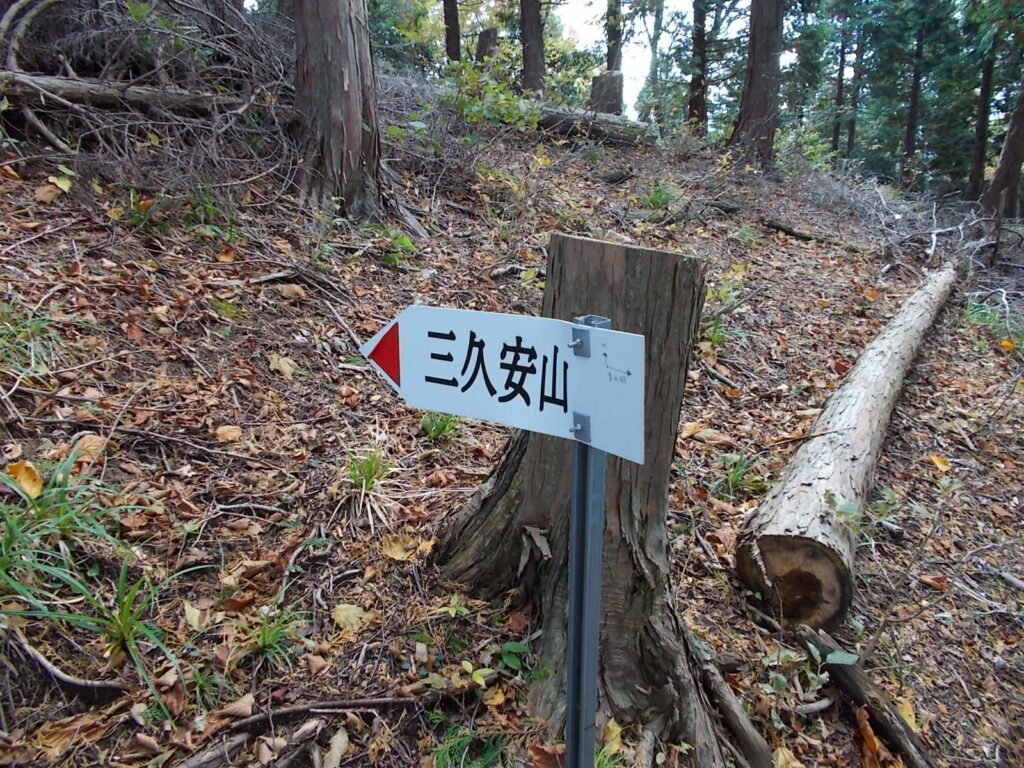 10:31 案内板です。ここからまた急登が始まります。