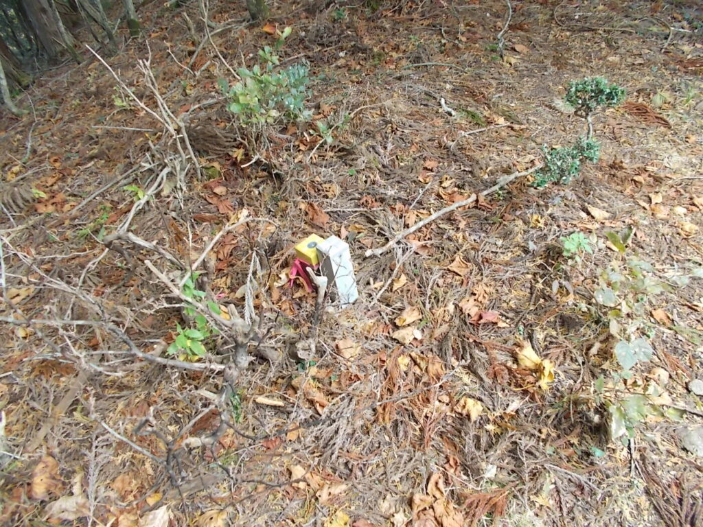 10:33 次のピークです。