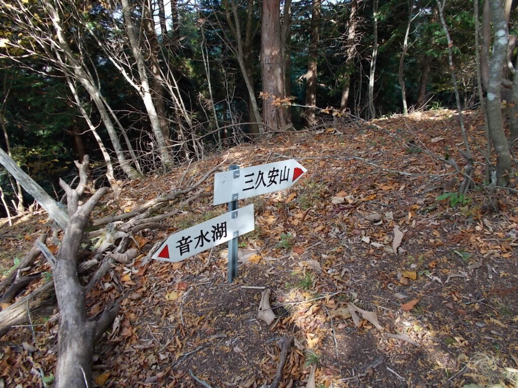 10:35 案内板です。ここが溝谷との分岐です。