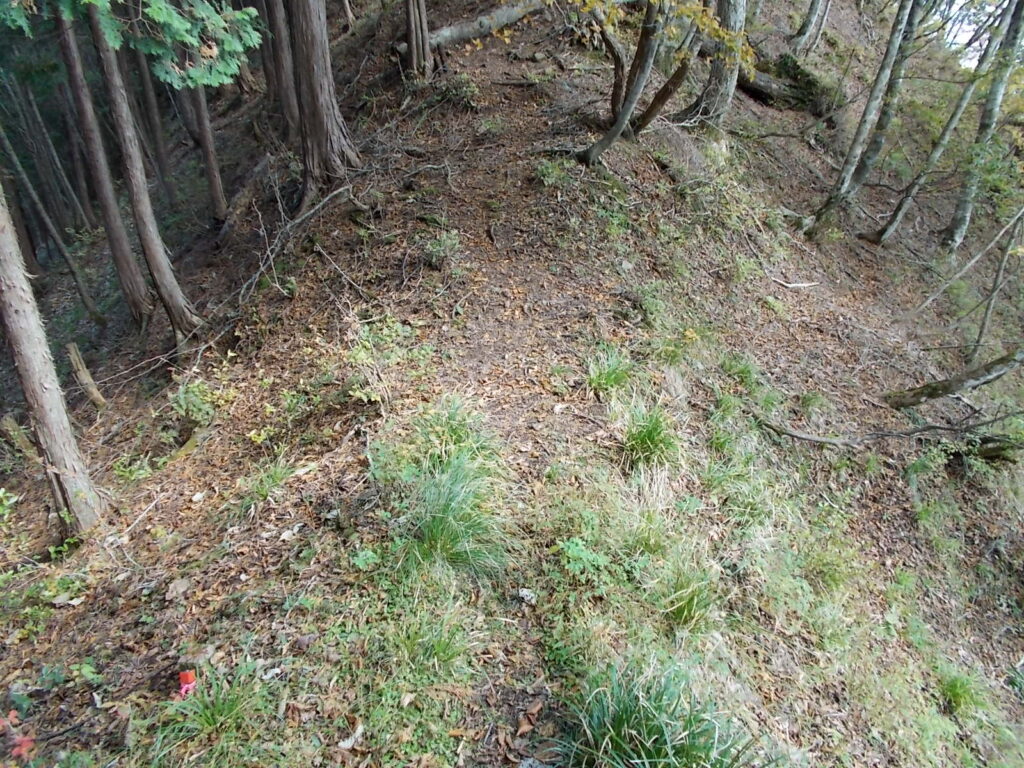 10:38 すぐに下って、鞍部です。次にまたまた登りです。