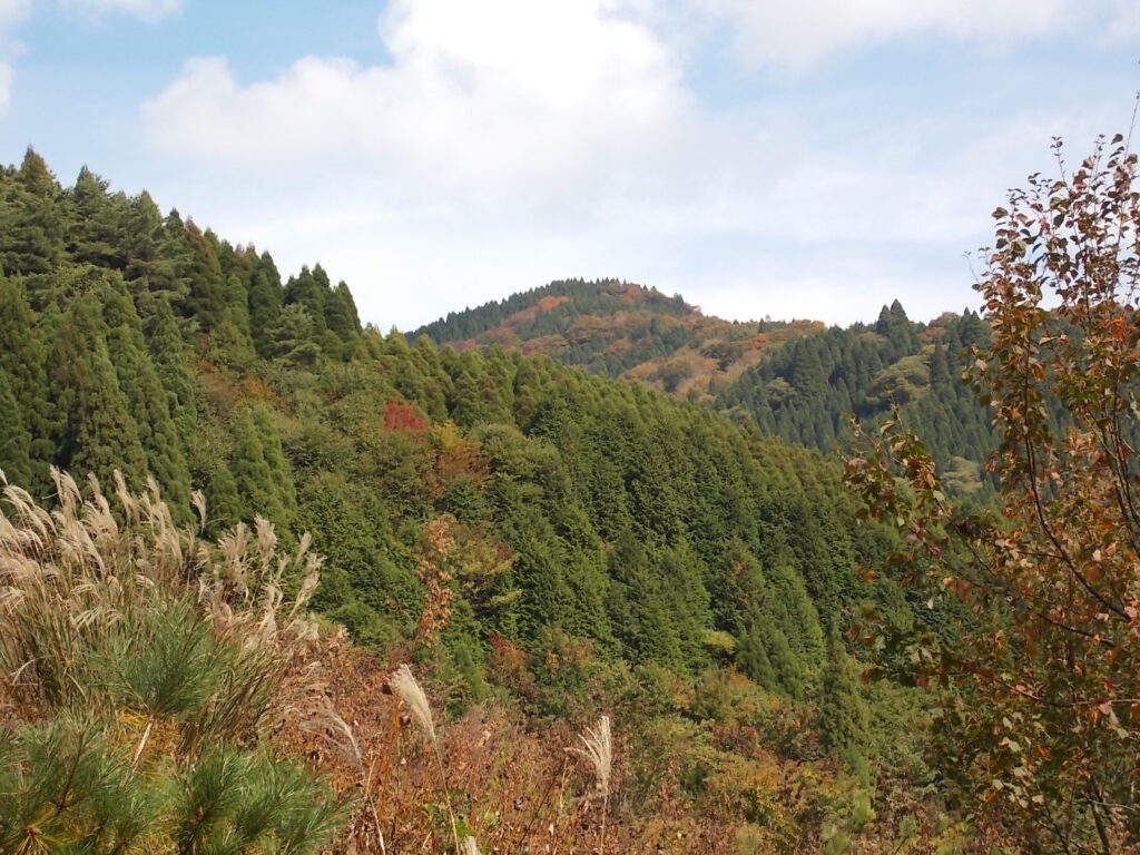 11:39 下山途中から見た三久安山