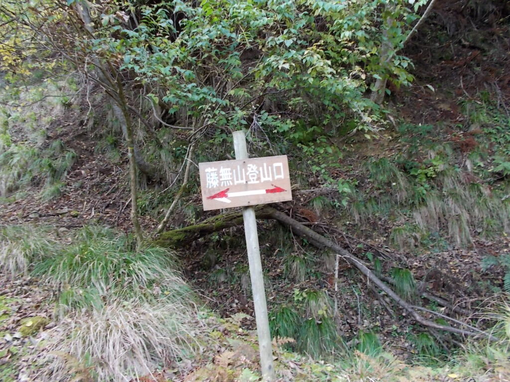 10：22　林道分岐。右へ進みます。