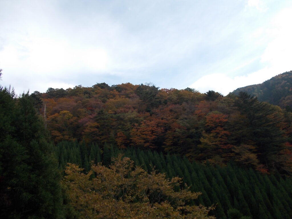 10：26　周辺の山の紅葉の様子。お天気が悪いのであまり美しく見えません。