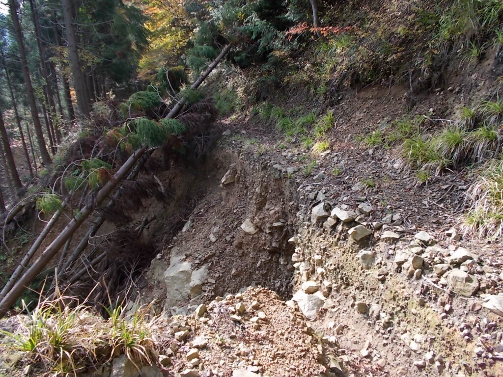 10：29　かなり林道が荒れています。けっこう緊張します。