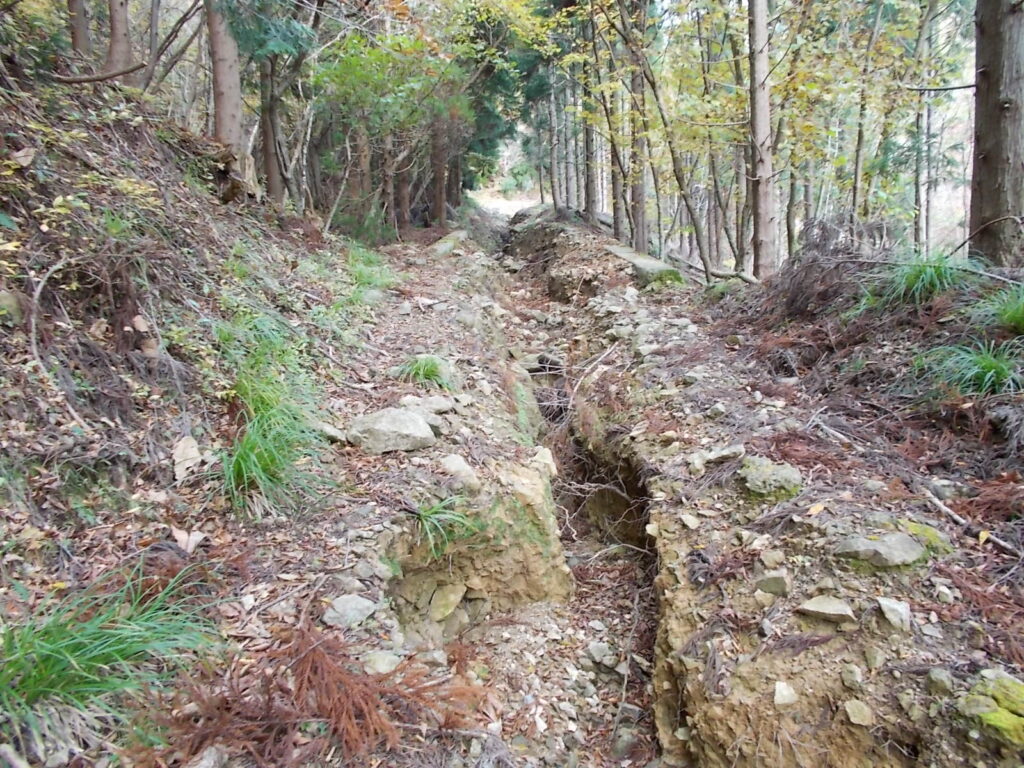 10：30　中央部がえぐれて、人ひとりが入れるくらいです。