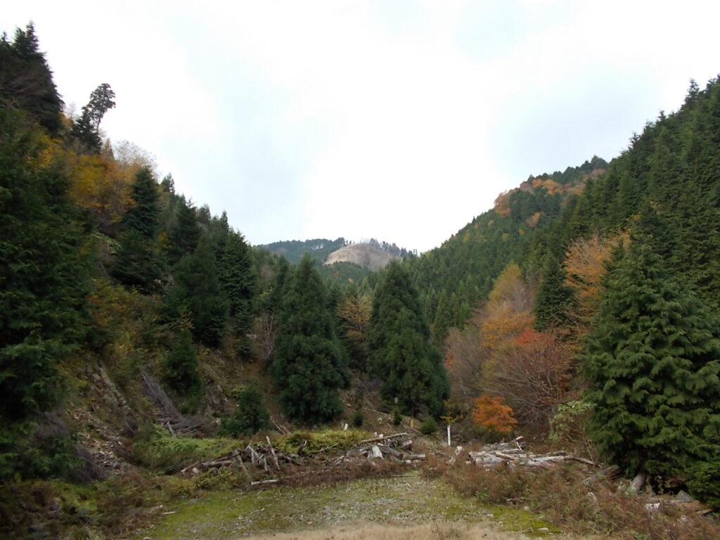 10：40　ようやく林道が終わりました。